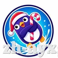 安全登录器
